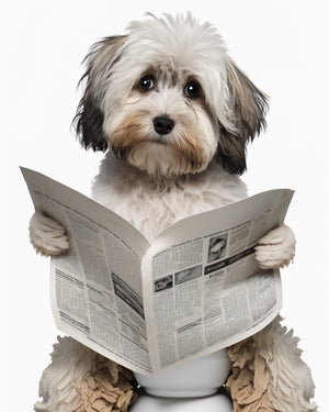 Havanese Potty Print
